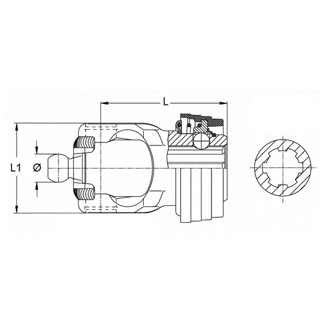 SitePH2-STE_115532_.jpg
